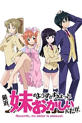 Постер к аниме Сейчас моя сестра малость сама не своя