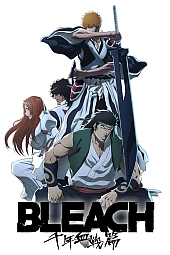 Постер к аниме Блич 2 сезон, часть 3