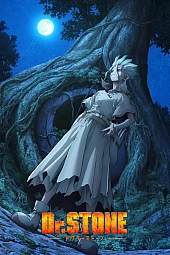 Постер к аниме Доктор Стоун 3 сезон