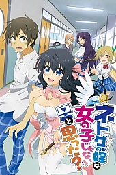 Постер к аниме А ты думал, что твоя жена в онлайн-игре на самом деле не девушка?