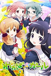 Постер к аниме Юная Вакаба