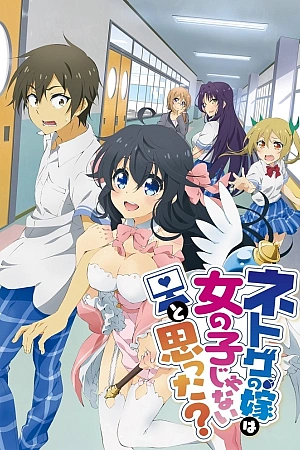 Постер к аниме А ты думал, что твоя жена в онлайн-игре на самом деле не девушка?